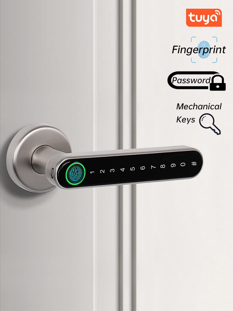 Handle akıllı parmak izi kapı  - Zinc Furniture Hardware incelemesi ve fiyatı